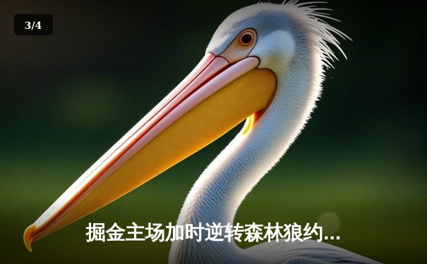 掘金主场加时逆转森林狼约基奇砍40+三双 系列赛扳成2-2 - 3